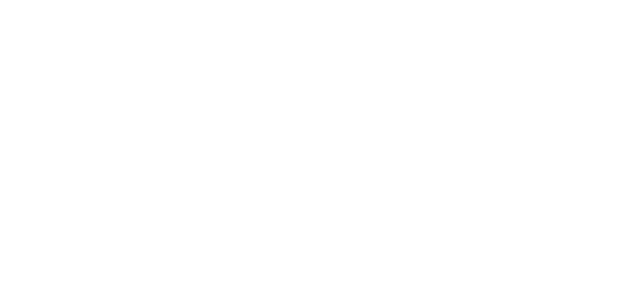 logo-Hallmann<br/>Strategic Finance