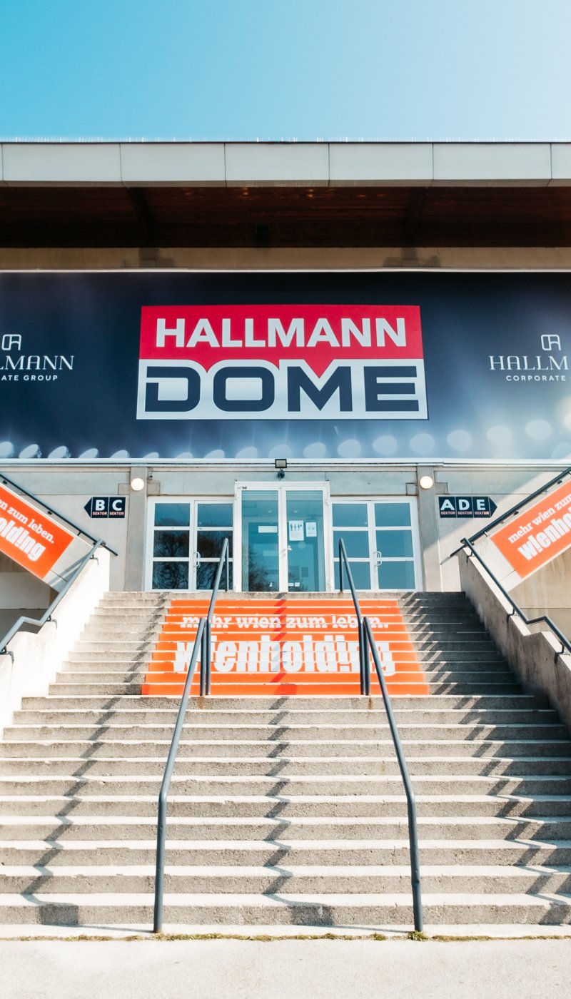 HallmannDome-100